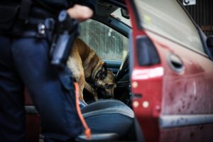 Jersey City Police Search 